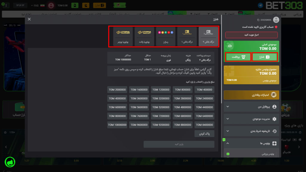 شارژ حساب و برداشت پول پس از ثبت نام در Bet 303