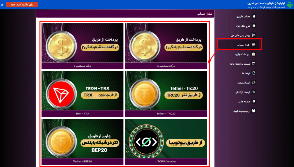 روش‌ های واریز و برداشت وجه در توفان بت